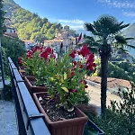 Flora Heritage - Garden & View *