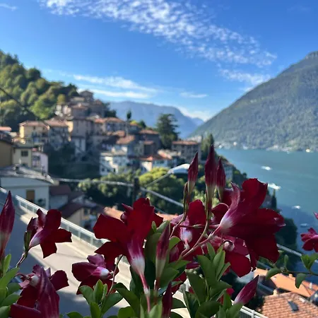 Flora Heritage - Garden & View Dom wakacyjny *