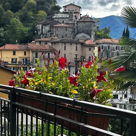 Dom wakacyjny Flora Heritage - Garden & View