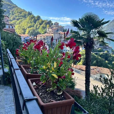 Flora Heritage - Garden & View *