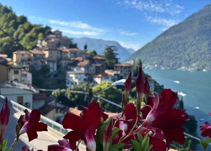 Flora Heritage - Garden & View Ferienhaus *