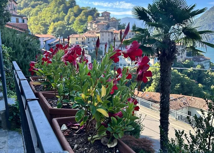 Flora Heritage - Garden & View *